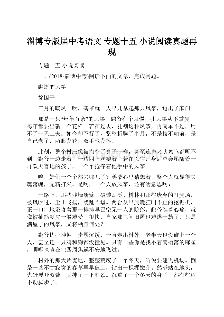 淄博专版届中考语文 专题十五 小说阅读真题再现文档格式.docx