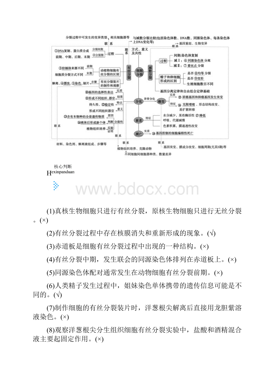 高考生物大二轮复习专题五细胞的生命历程学案.docx_第2页