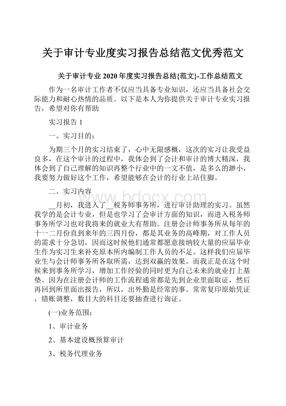 关于审计专业度实习报告总结范文优秀范文.docx