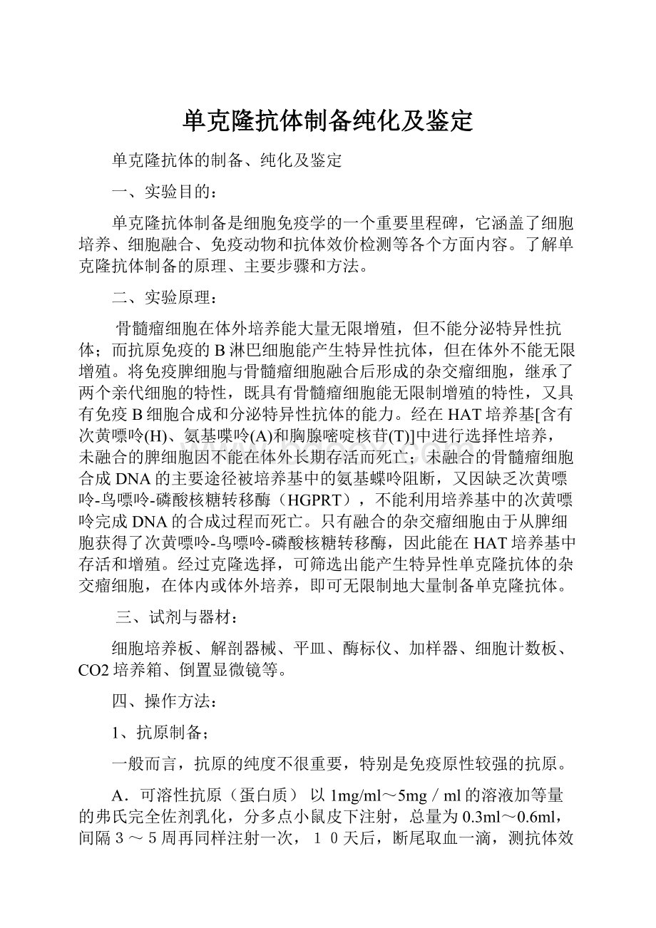 单克隆抗体制备纯化及鉴定.docx_第1页