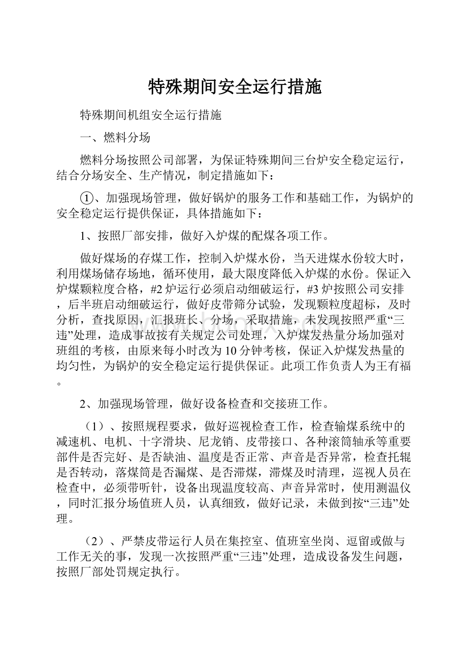 特殊期间安全运行措施文档格式.docx_第1页