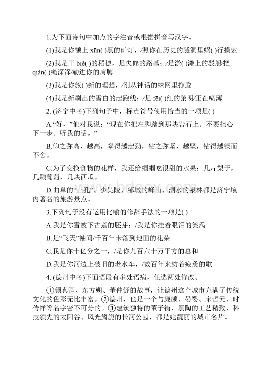 届九年级语文下册知识点训练题2Word文件下载.docx_第2页