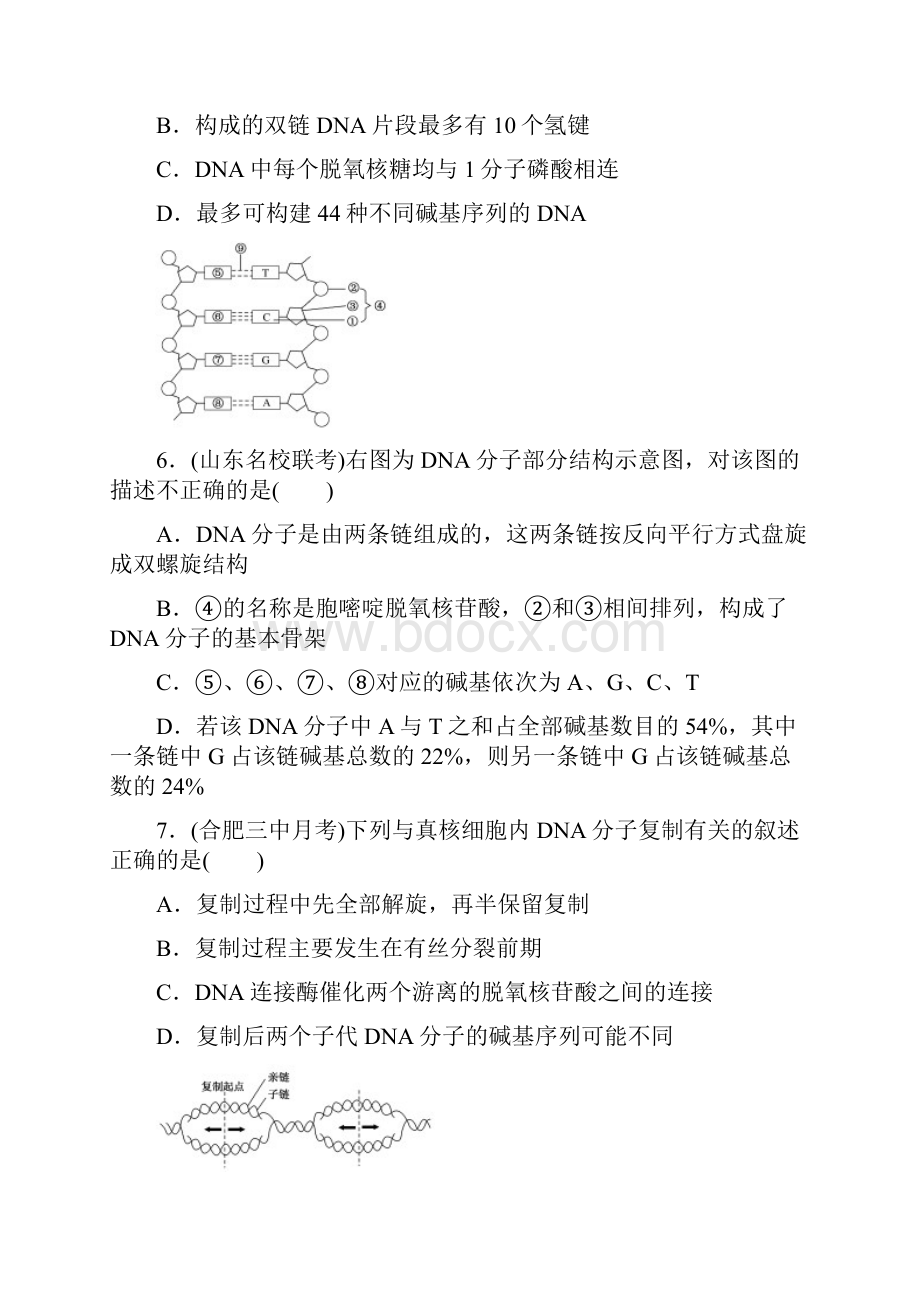 高考生物一轮总复习专题训练13基因的本质.docx_第3页