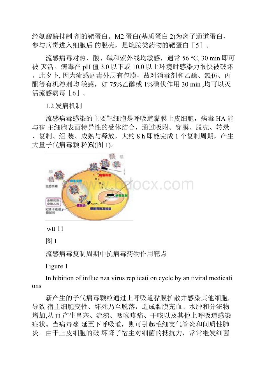 儿童流感诊断与治疗专家共识完整版.docx_第2页