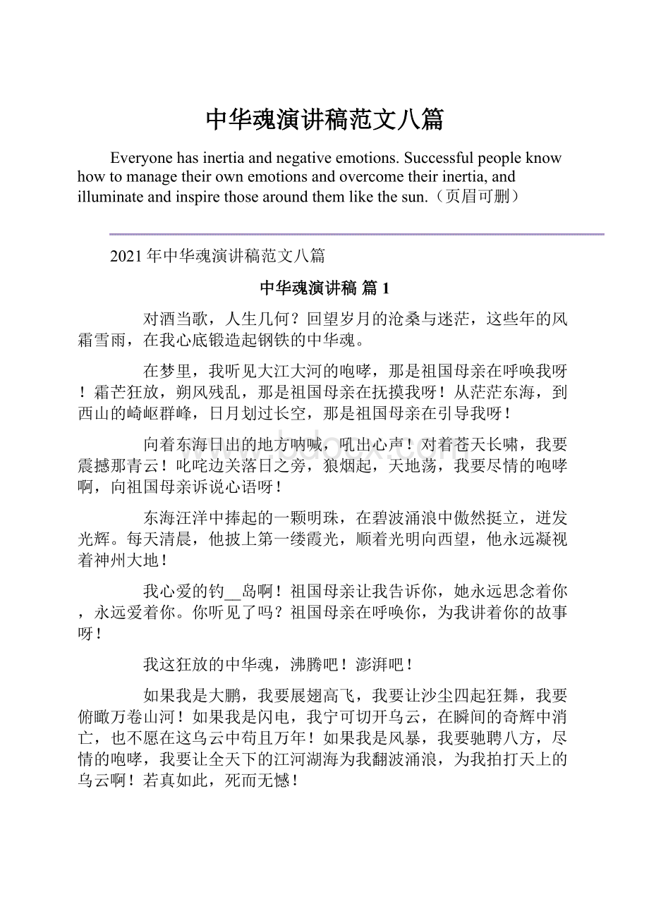 中华魂演讲稿范文八篇Word格式.docx