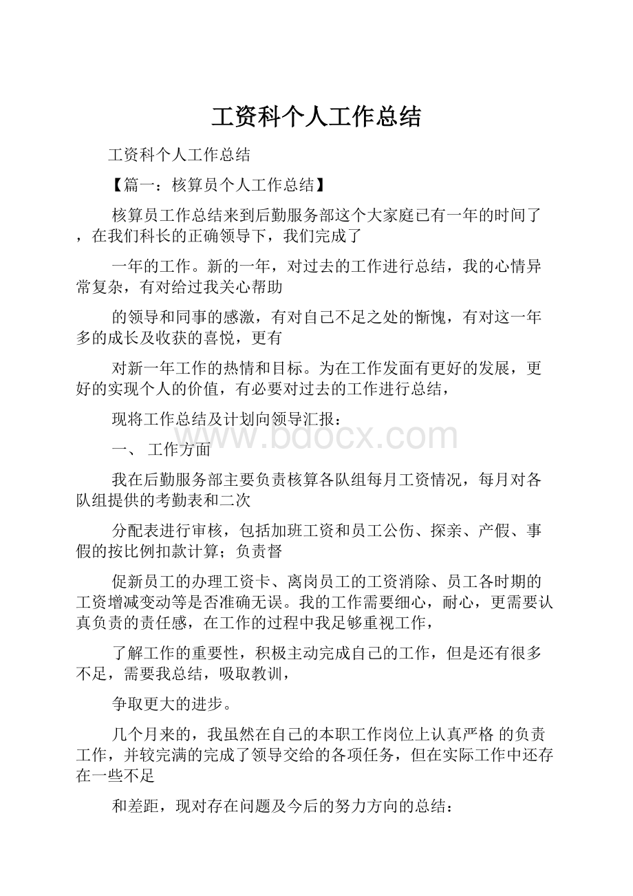 工资科个人工作总结.docx_第1页