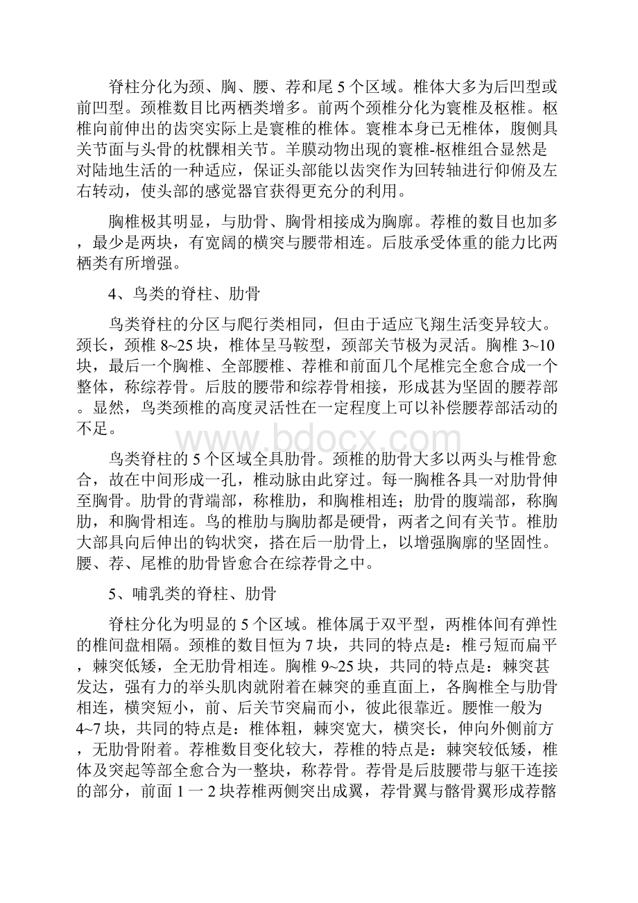 各类脊椎动物骨骼的比较Word格式文档下载.docx_第2页