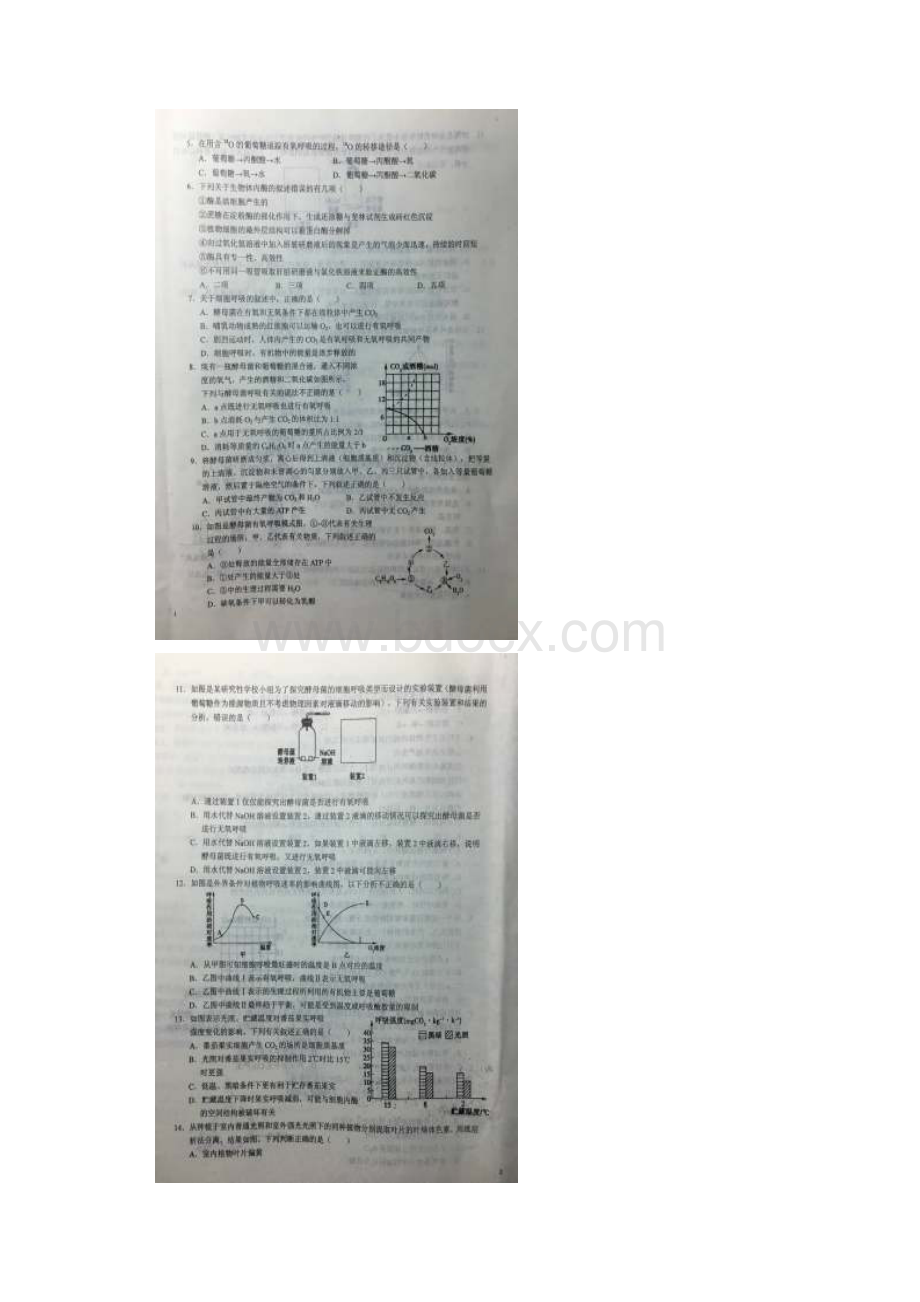 学年安徽省六安市第一中学高一下学期第一次阶段检测生物试题文档格式.docx_第2页