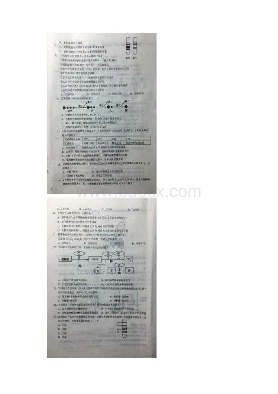 学年安徽省六安市第一中学高一下学期第一次阶段检测生物试题文档格式.docx_第3页