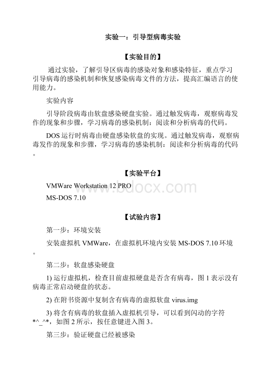 计算机病毒及防治实验报告文档格式.docx_第2页