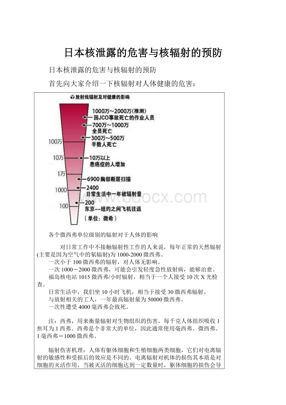 日本核泄露的危害与核辐射的预防Word格式.docx_第1页