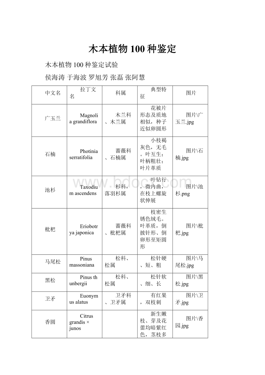 木本植物100种鉴定Word文档下载推荐.docx