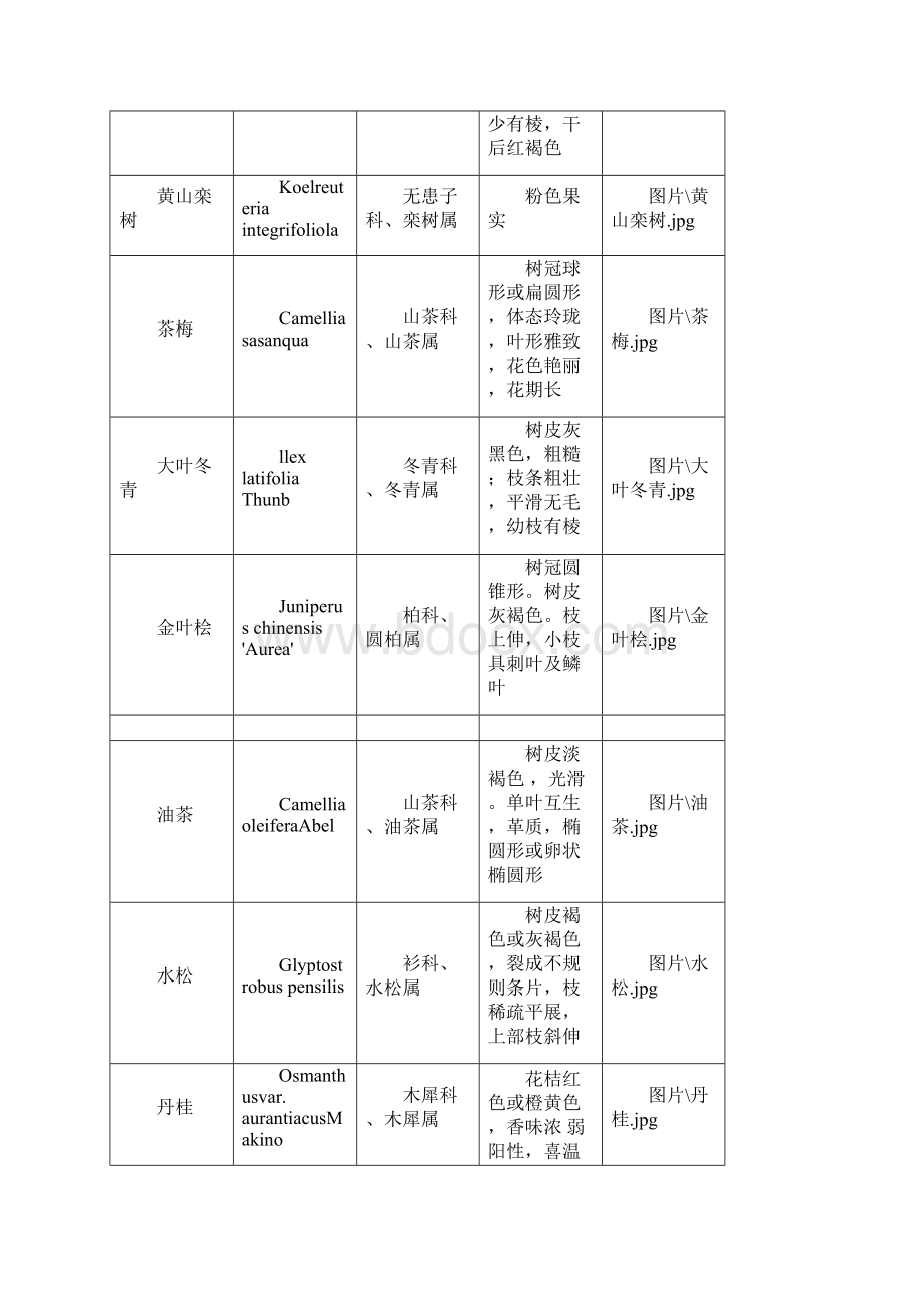 木本植物100种鉴定.docx_第3页