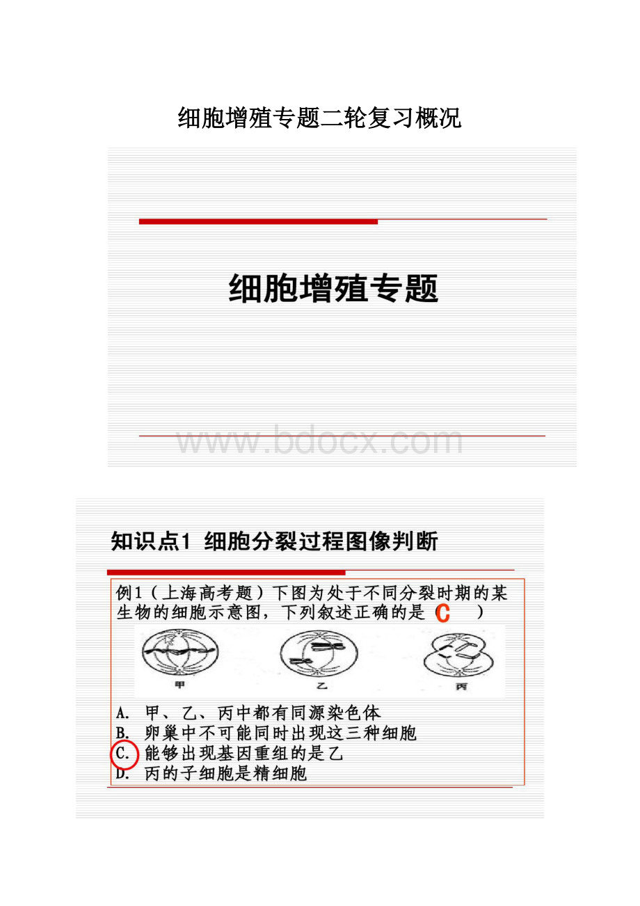 细胞增殖专题二轮复习概况Word下载.docx_第1页