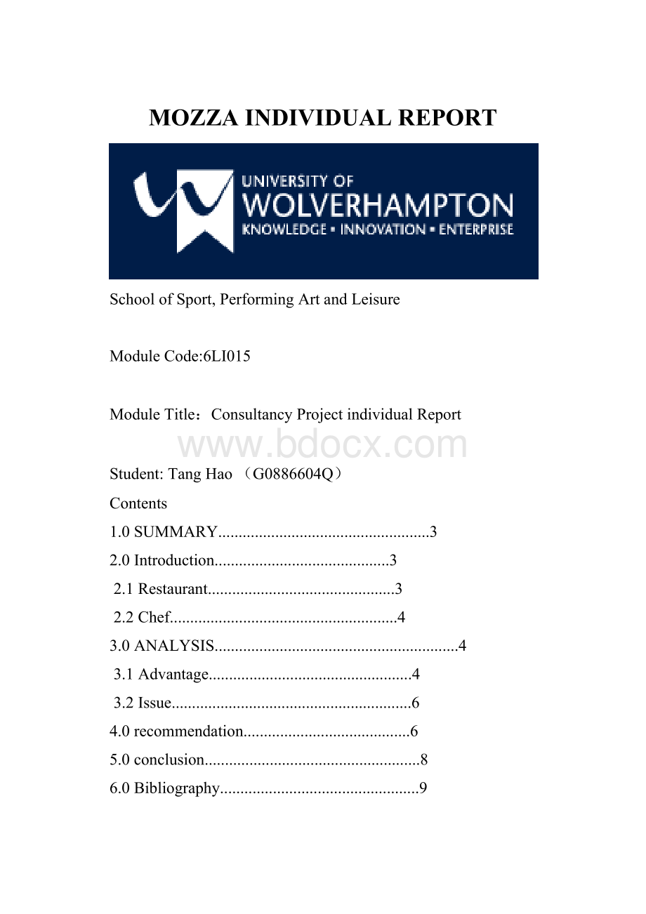 MOZZA INDIVIDUAL REPORT.docx