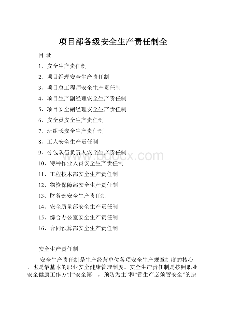 项目部各级安全生产责任制全.docx