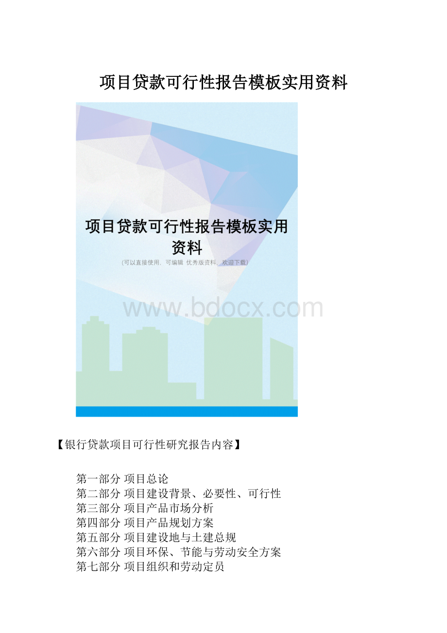 项目贷款可行性报告模板实用资料Word文档格式.docx_第1页