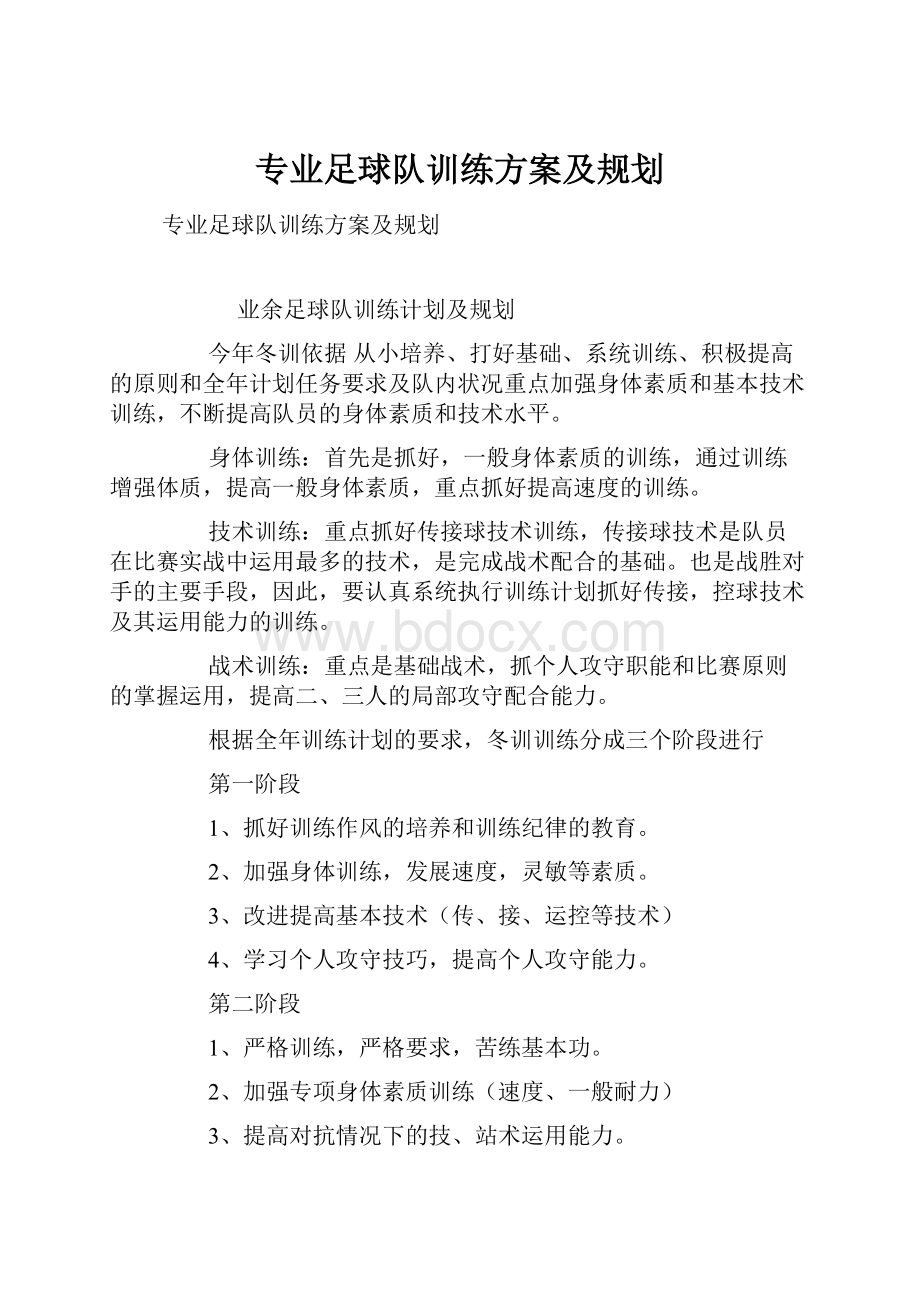 专业足球队训练方案及规划.docx