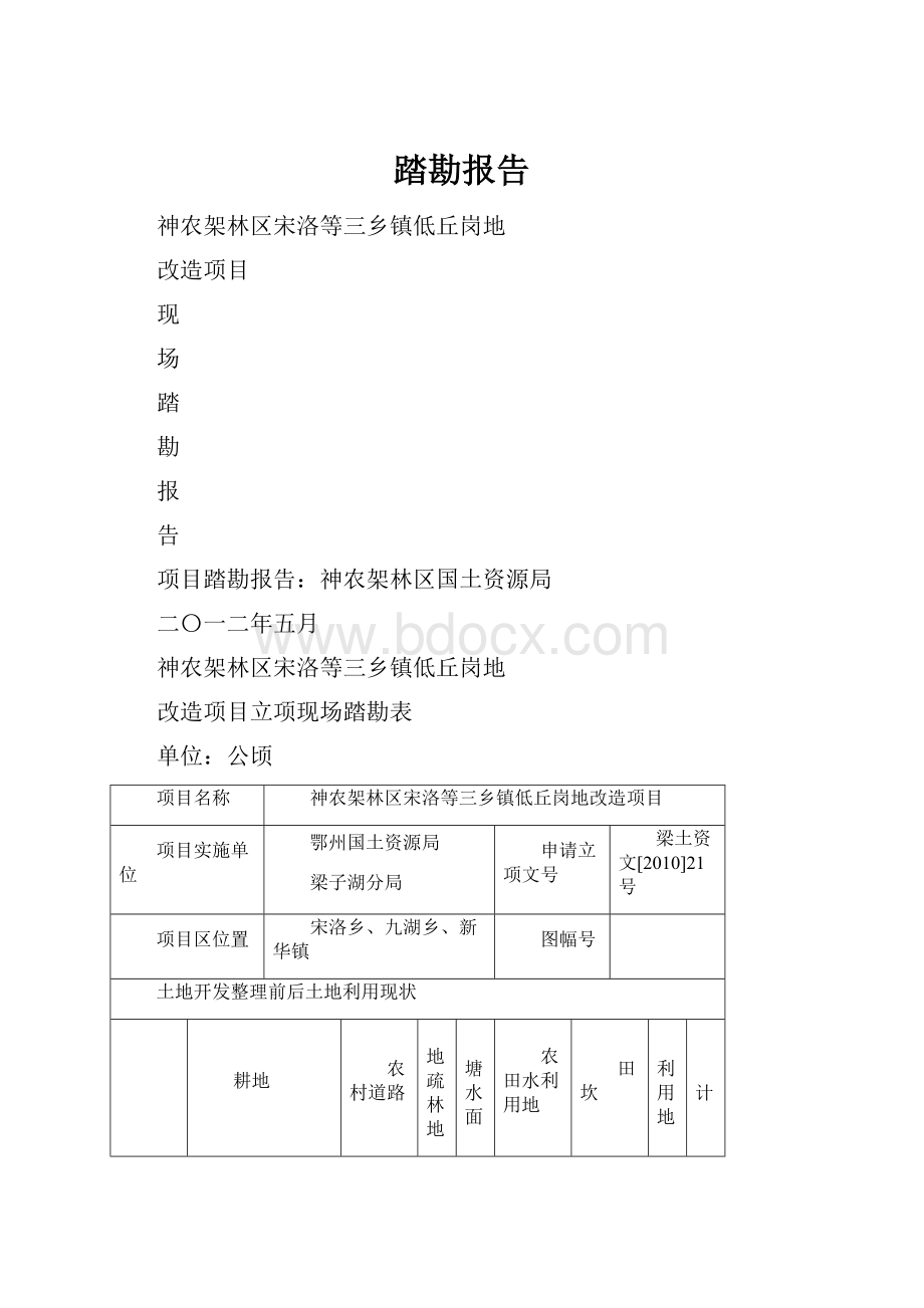 踏勘报告.docx_第1页