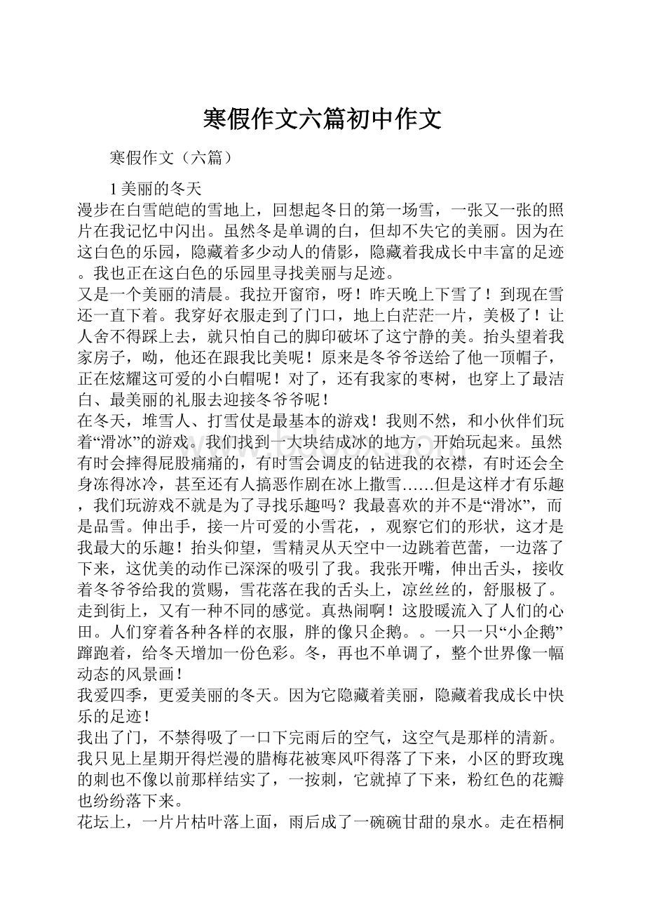 寒假作文六篇初中作文.docx_第1页