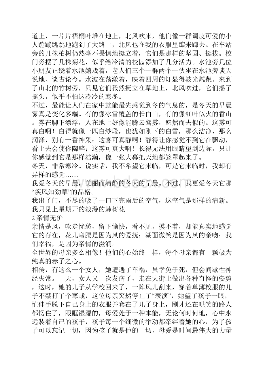 寒假作文六篇初中作文.docx_第2页