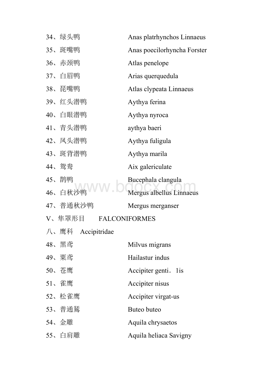 黄河湿地动物.docx_第3页