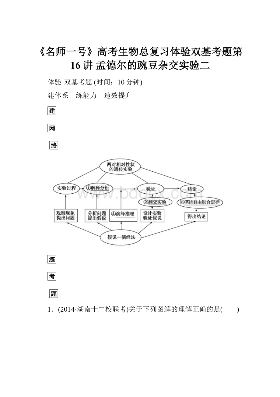 《名师一号》高考生物总复习体验双基考题第16讲 孟德尔的豌豆杂交实验二Word格式.docx