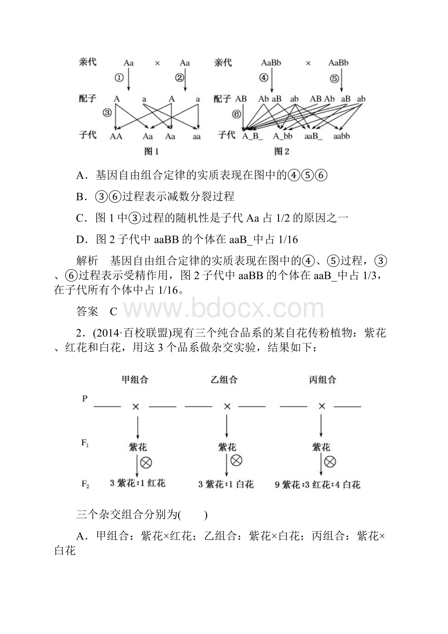 《名师一号》高考生物总复习体验双基考题第16讲 孟德尔的豌豆杂交实验二Word格式.docx_第2页