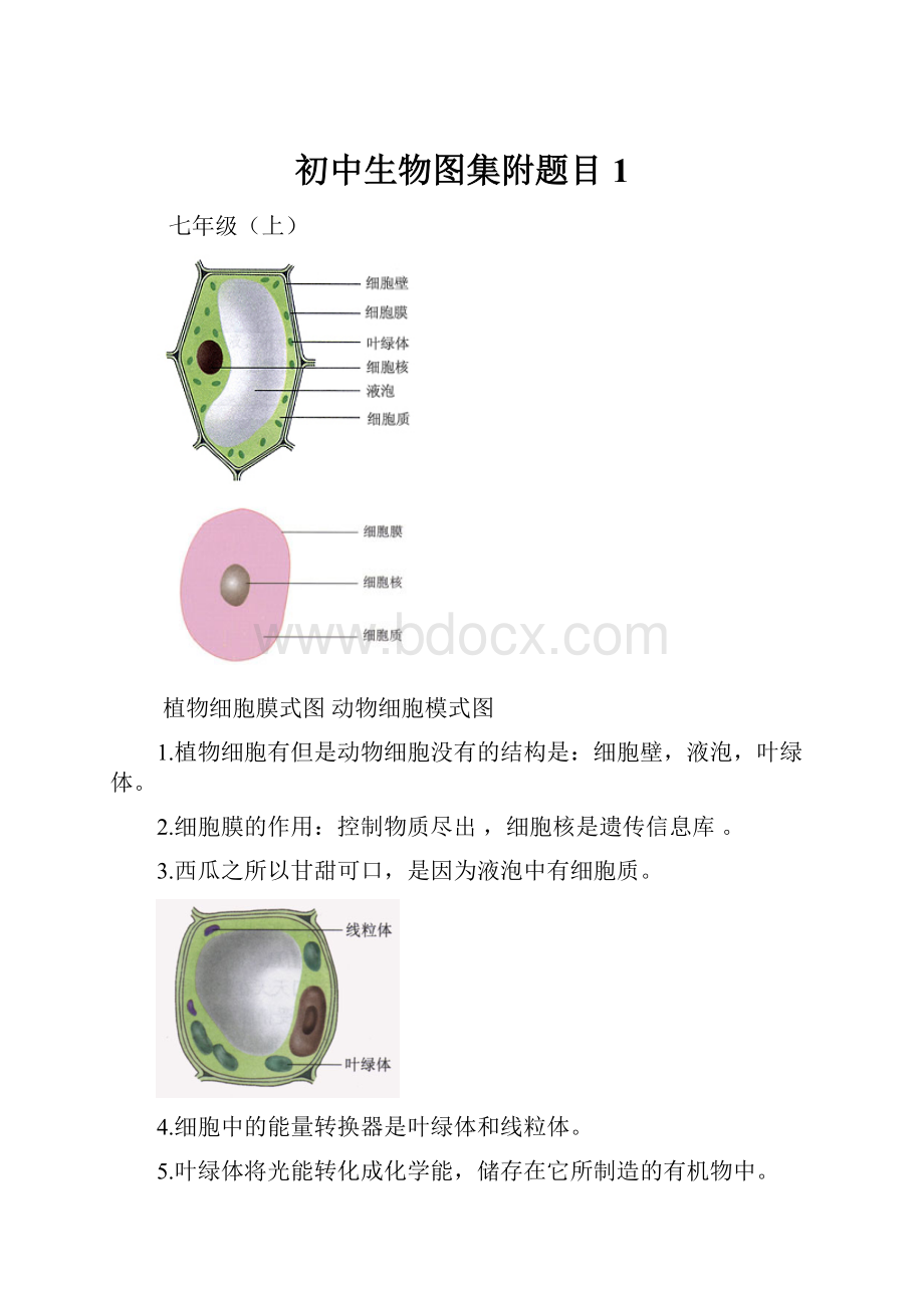 初中生物图集附题目1.docx_第1页