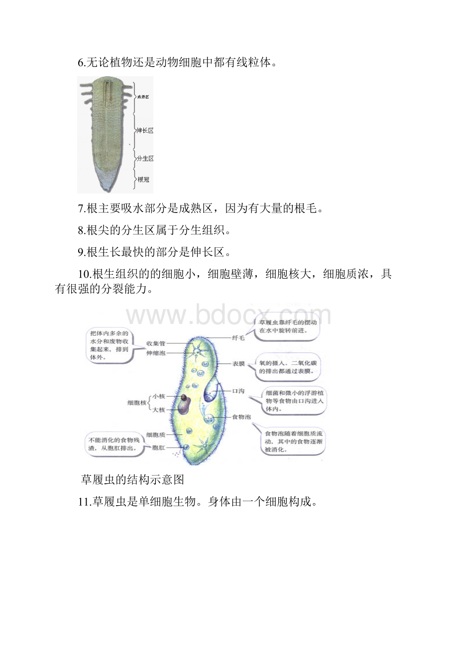 初中生物图集附题目1.docx_第2页