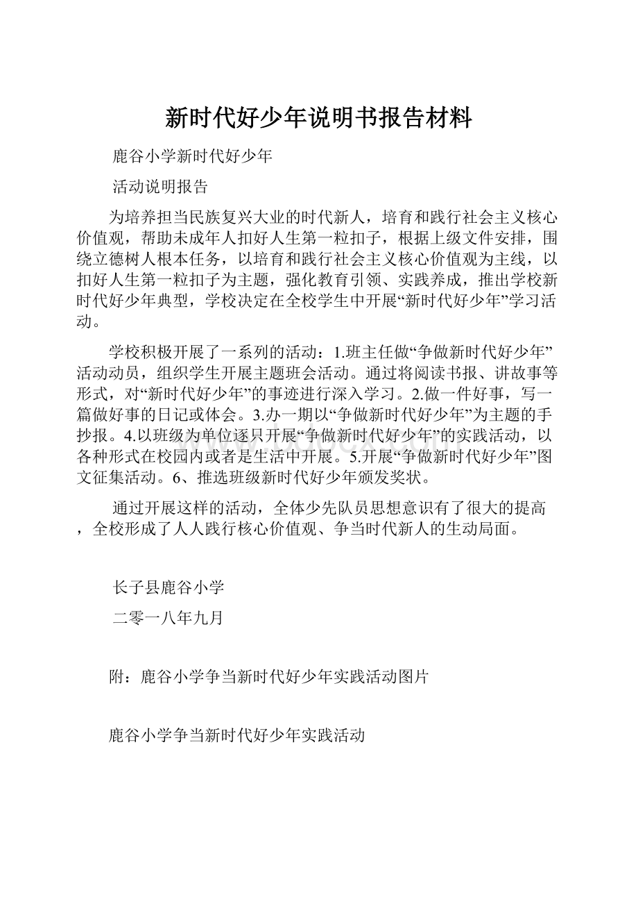 新时代好少年说明书报告材料.docx_第1页