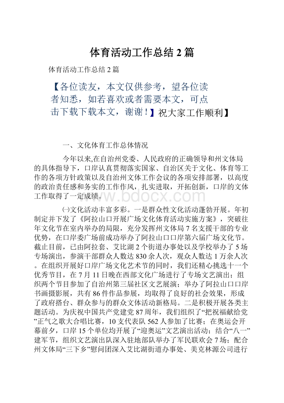 体育活动工作总结2篇文档格式.docx