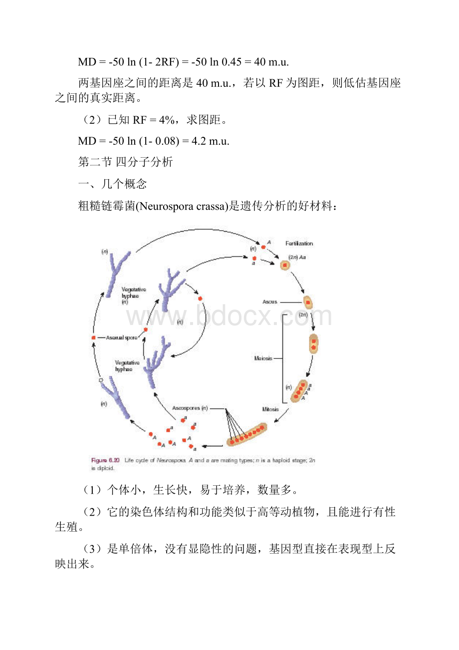 第六章 真核生物特殊染色体制图技术Word文档格式.docx_第3页