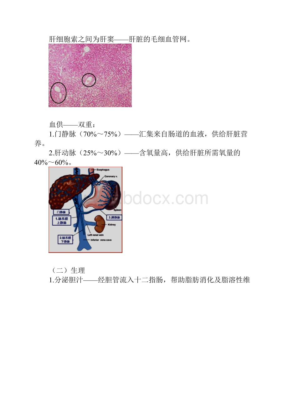 主管护师外科讲义肝脏疾病病人的护理文档格式.docx_第3页