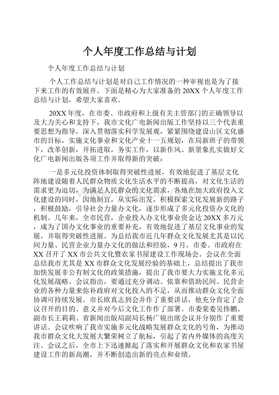 个人年度工作总结与计划.docx