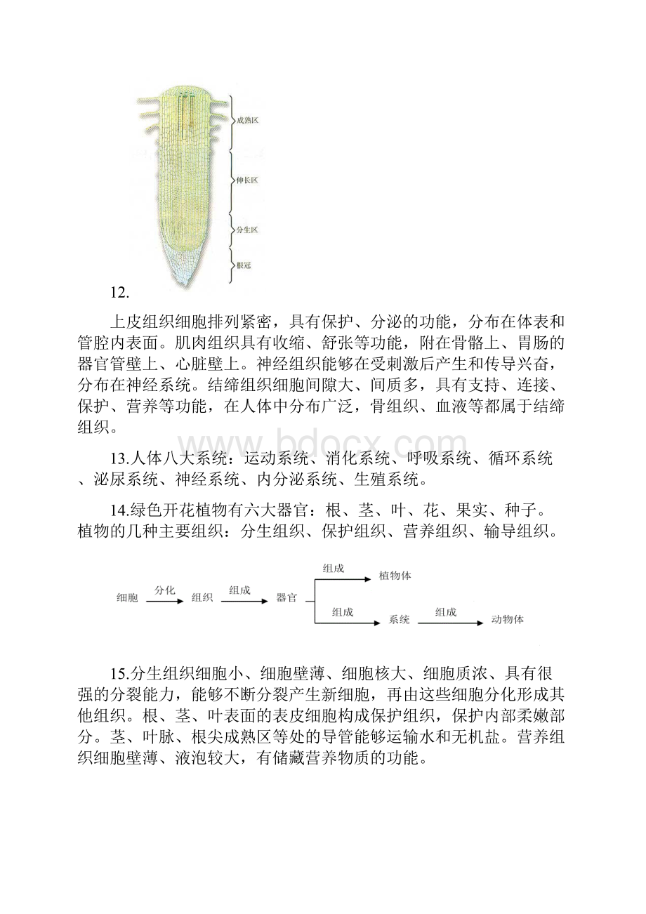 初中生物全册总复习资料.docx_第3页