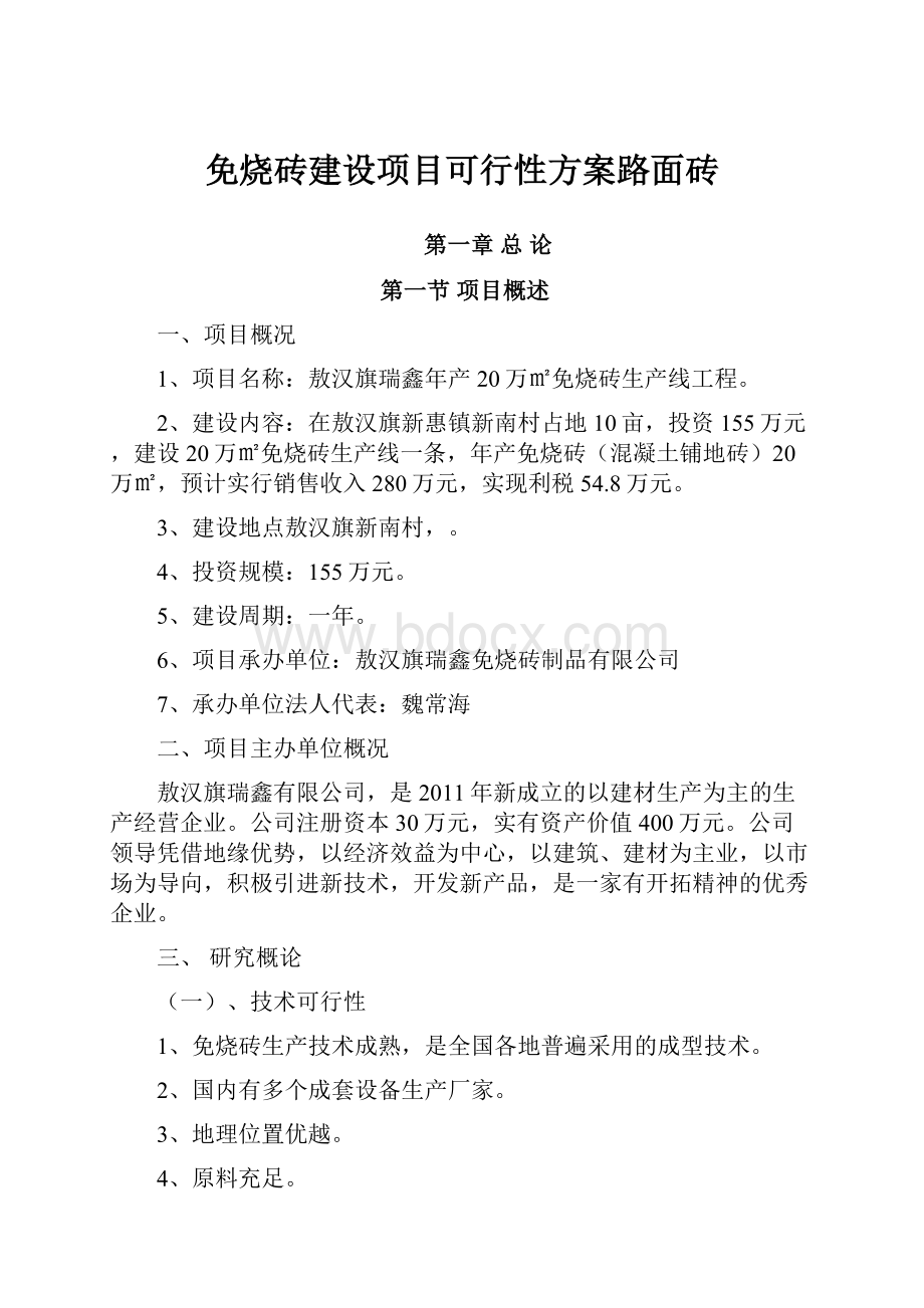 免烧砖建设项目可行性方案路面砖.docx