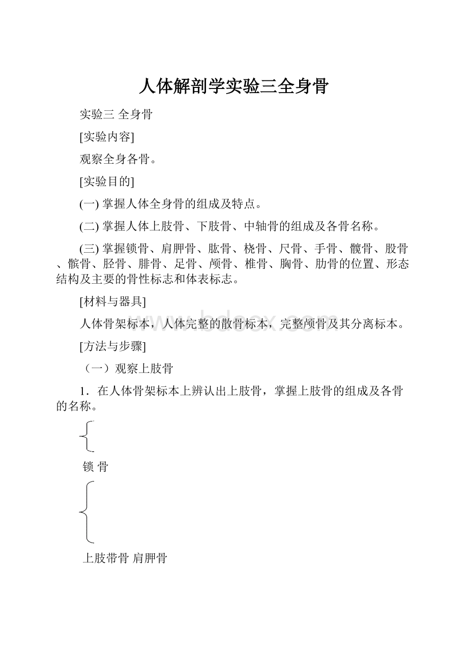 人体解剖学实验三全身骨.docx