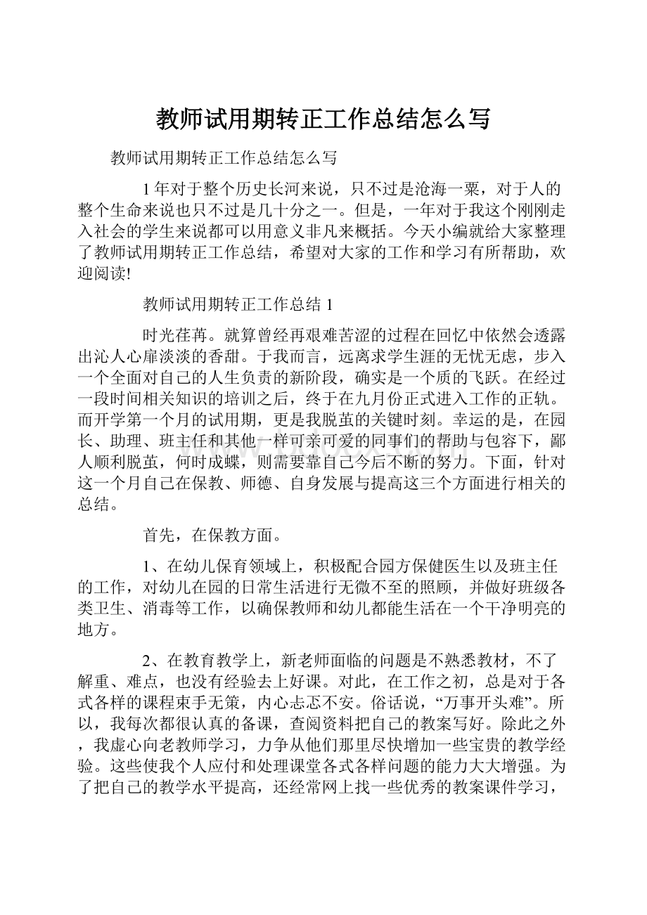 教师试用期转正工作总结怎么写文档格式.docx