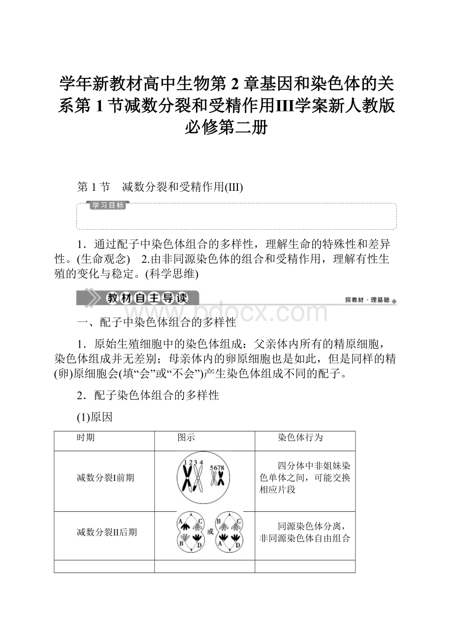 学年新教材高中生物第2章基因和染色体的关系第1节减数分裂和受精作用Ⅲ学案新人教版必修第二册Word文档格式.docx_第1页