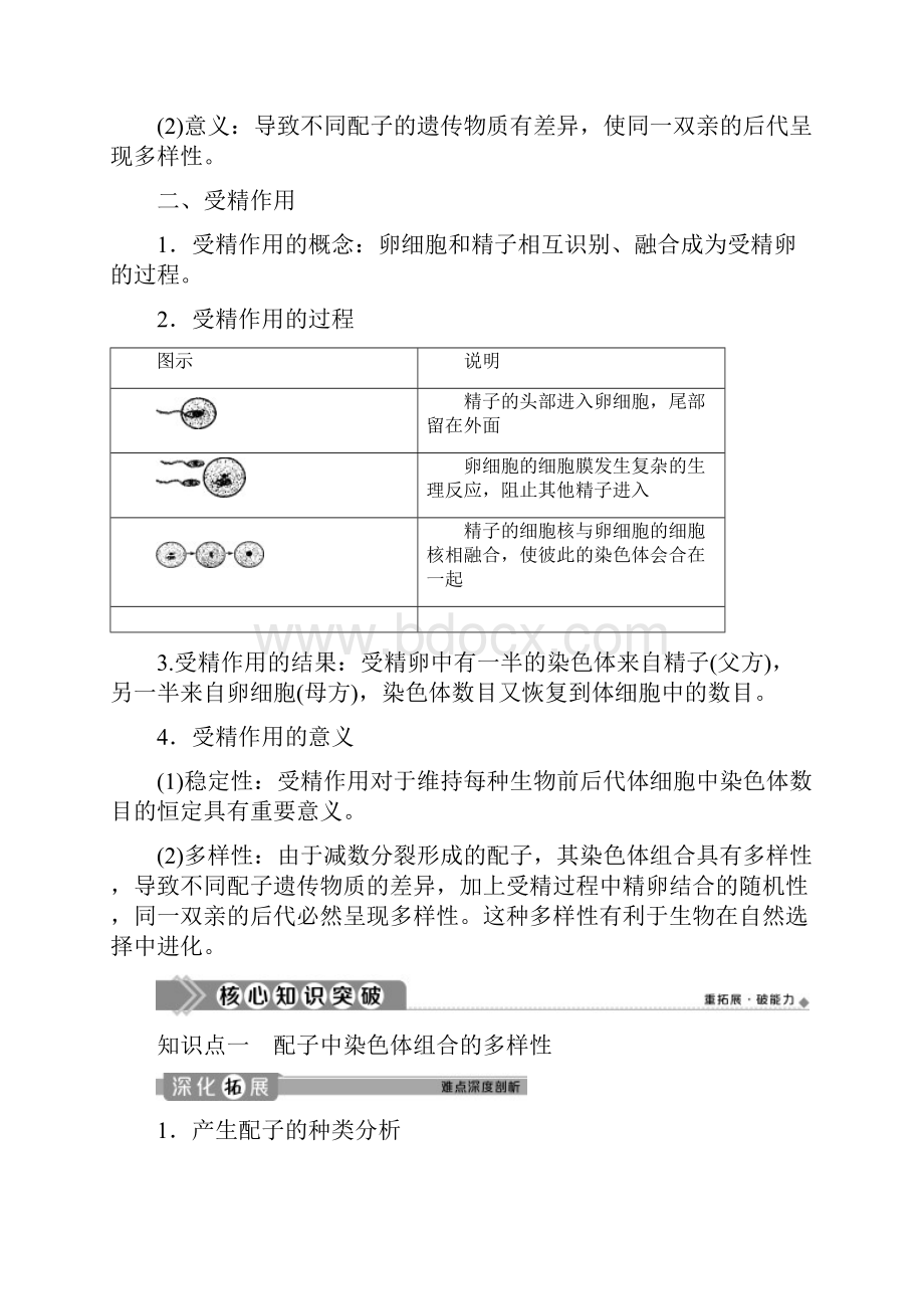 学年新教材高中生物第2章基因和染色体的关系第1节减数分裂和受精作用Ⅲ学案新人教版必修第二册Word文档格式.docx_第2页