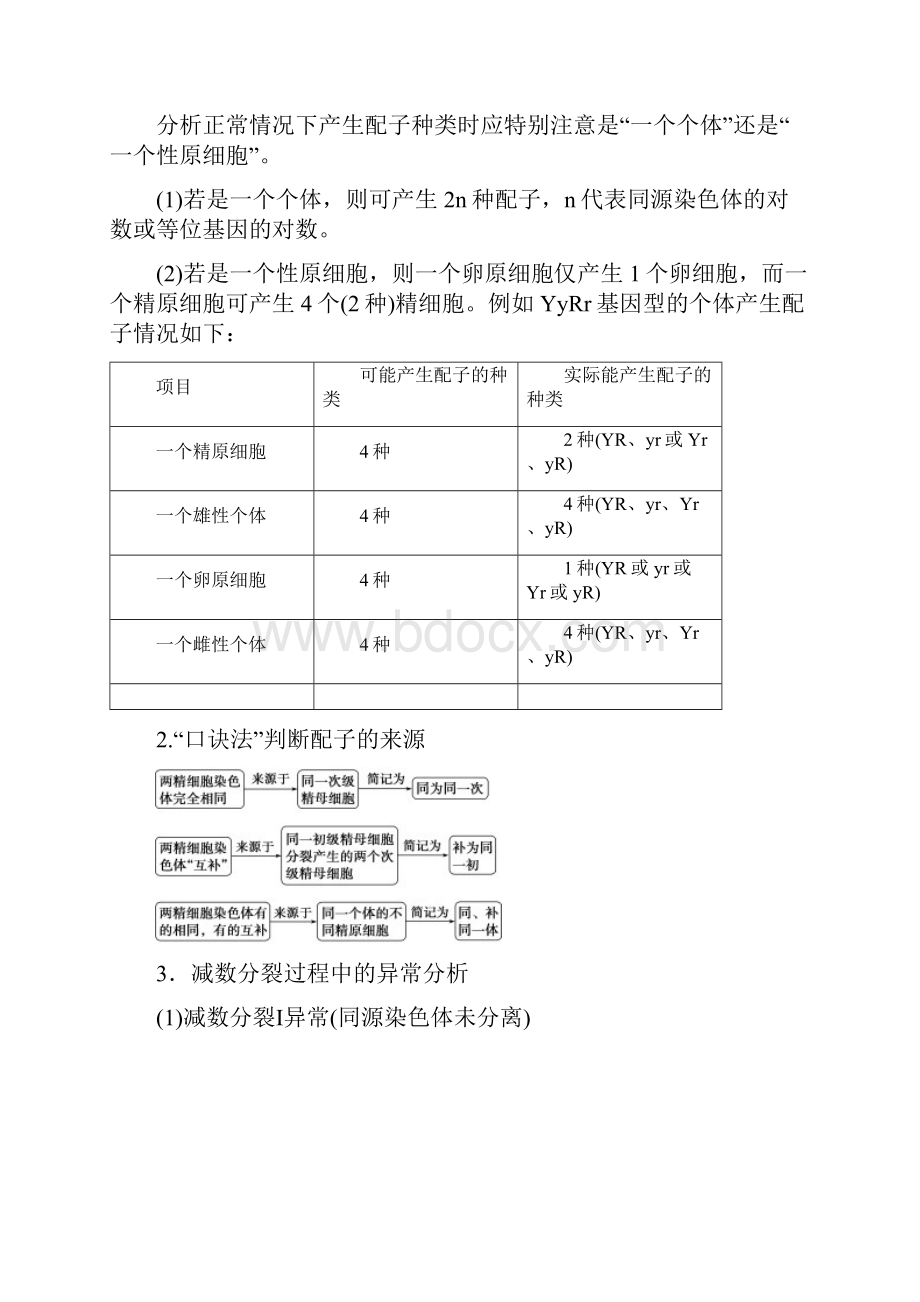 学年新教材高中生物第2章基因和染色体的关系第1节减数分裂和受精作用Ⅲ学案新人教版必修第二册Word文档格式.docx_第3页