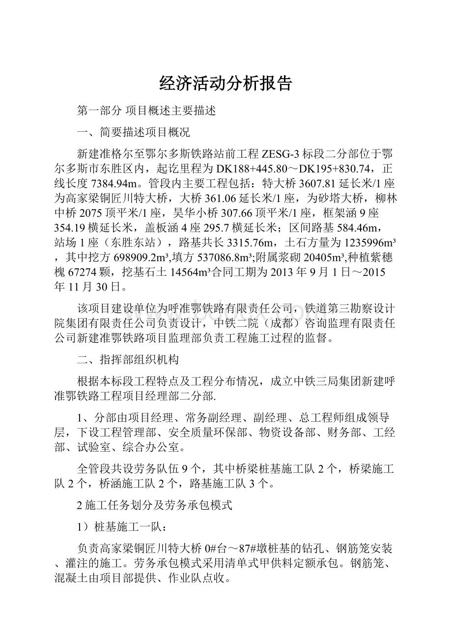 经济活动分析报告.docx_第1页