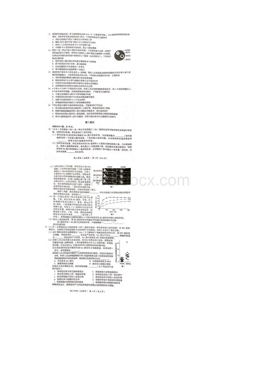 北京市海淀区学年第一学期期末练习高三生物试题及参考答案.docx_第2页