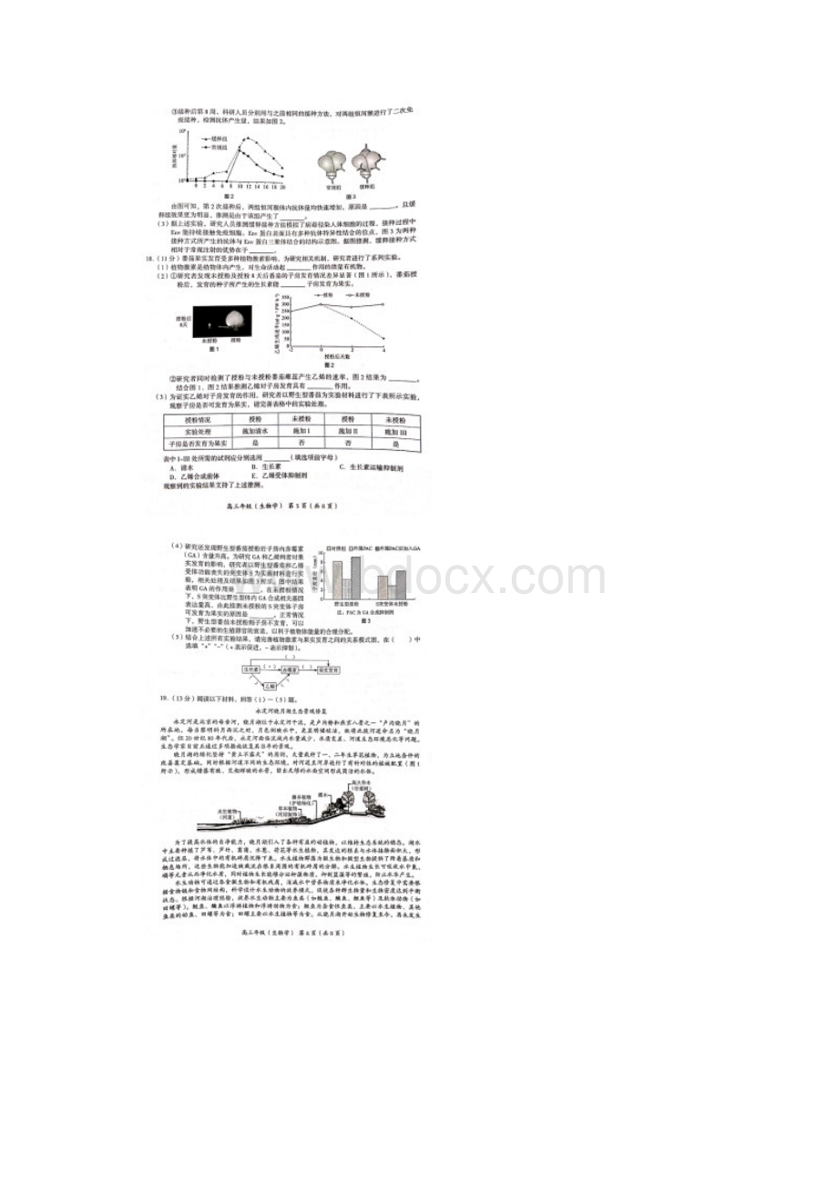 北京市海淀区学年第一学期期末练习高三生物试题及参考答案.docx_第3页