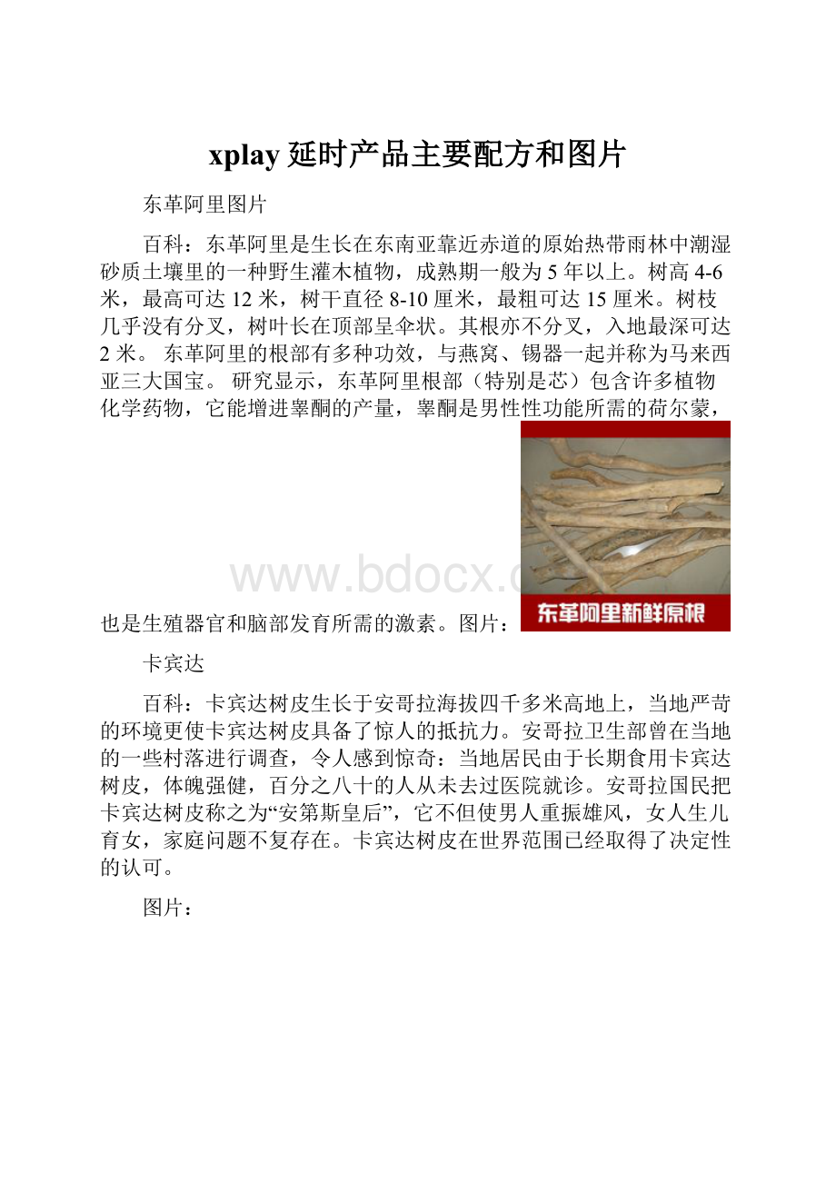 xplay延时产品主要配方和图片.docx_第1页