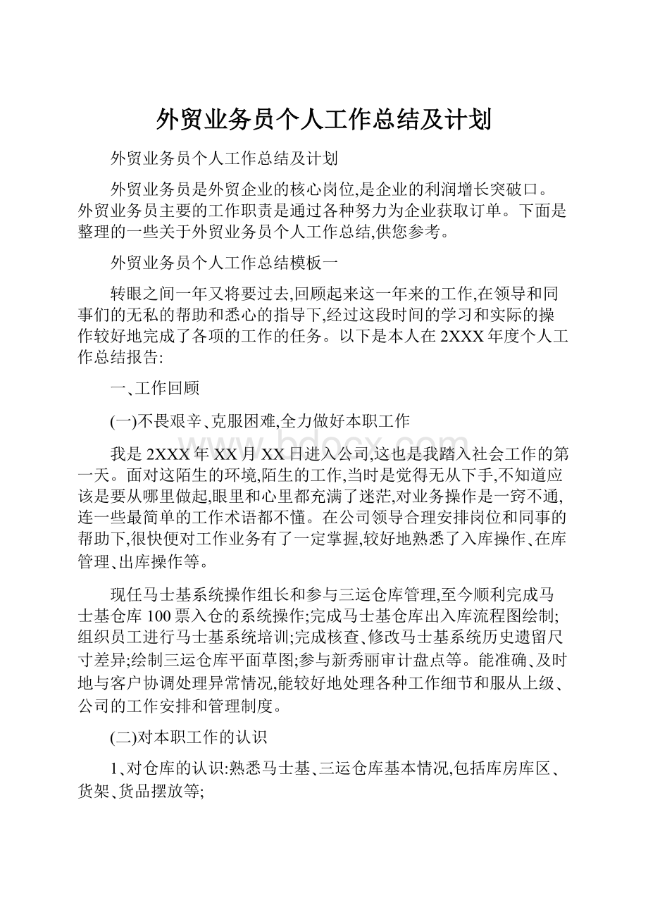 外贸业务员个人工作总结及计划.docx