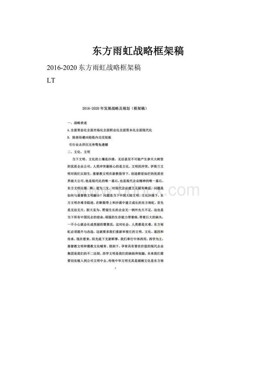 东方雨虹战略框架稿Word下载.docx