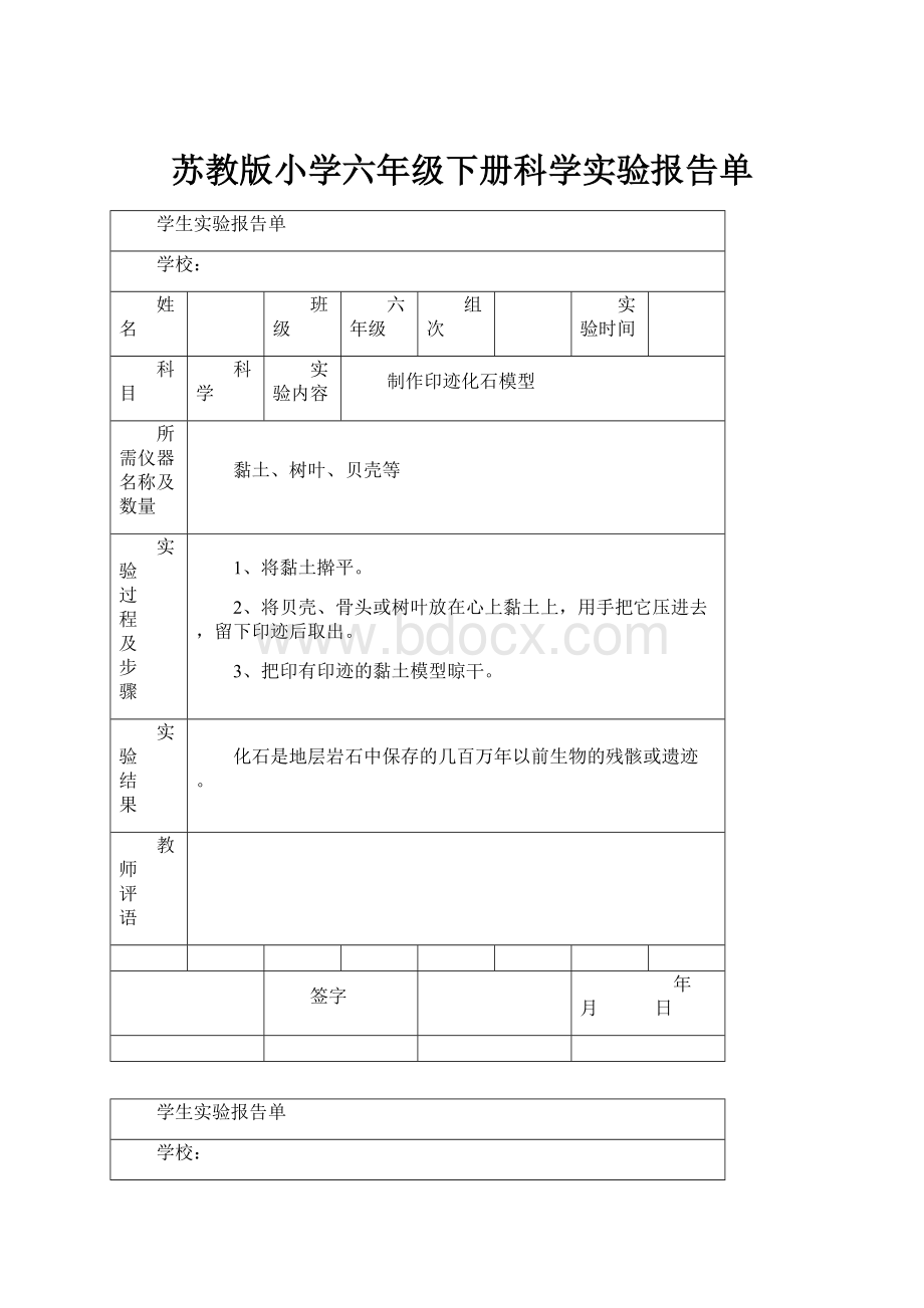 苏教版小学六年级下册科学实验报告单文档格式.docx_第1页