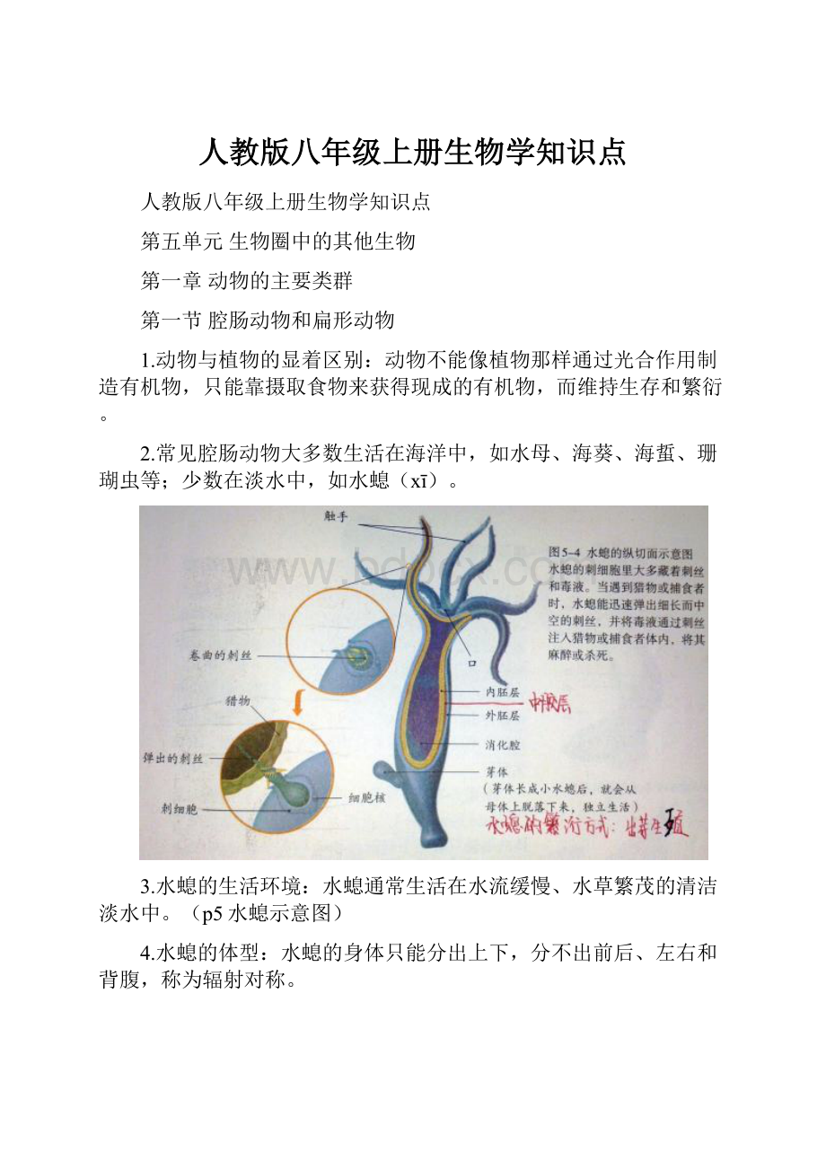 人教版八年级上册生物学知识点.docx_第1页